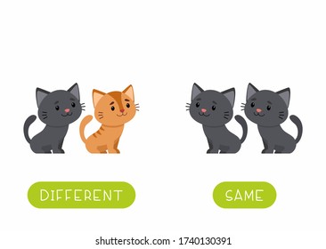 Childish word card with animals vector template. Educational flash card for english language. Opposites, diversity concept, same and different. Cute little kittens flat illustration with typography