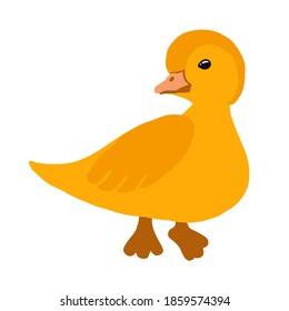 childlike drawing of yellow duck looking to the left side, vector illustration
