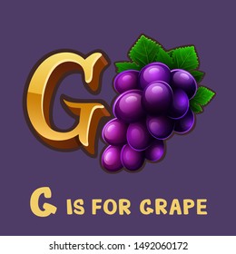 Children alphabet letter G and grape. Isolated on color. Vector illustration