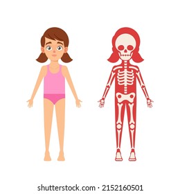 Children Anatomy Concept. Cute Girl Skeleton, Human Body Systems Educational Kids Anatomy Infographics Chart, Internal Organs Structure of Child, Medicine Science. Cartoon Vector Illustration