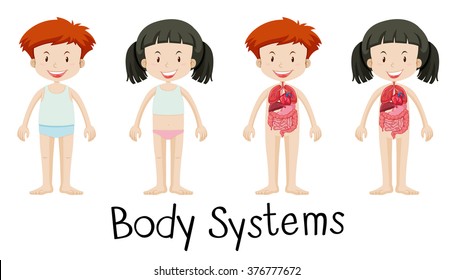 Children and body systems illustration