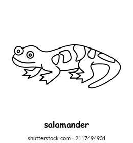 children book illustration, trace and coloring vector world wild animal salamander