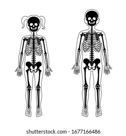 Niños y niñas esqueleto anatomía vista frontal. Vector aislado de ilustración plana de cráneo y huesos en cuerpo humano de niño. Pancarta de Halloween, medicina, educación o ciencia
