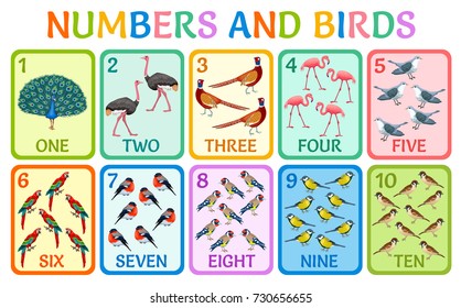 Children cards numbers with birds for kids learning to count.