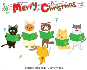 Children and cats Christmas concert.