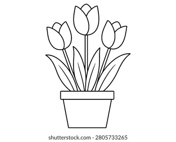 Children coloring book vector featuring three blooming tulips in plant pot. Garden theme line art for kids activity.