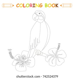 Children coloring page stock vector illustration, parrot for kids coloring book