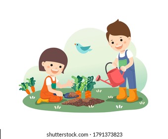 Children education, cute kids water organic vegetable gardens. White background, Vactor illustration.