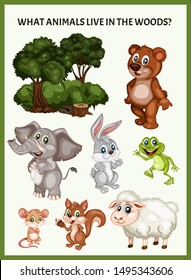 Children Educational Game. What Animals Live in Woods. Choose the Forest Animals. Activity for Preschool Kids and Toddlers. Worksheet for Education