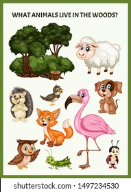 Children Educational Game. What Animals Live in Woods. Choose the Forest Animals. Activity for Preschool Kids and Toddlers. Worksheet for Education