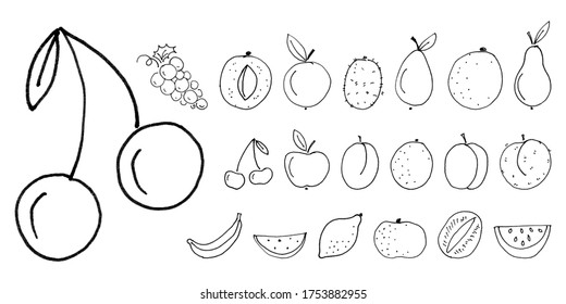 children felt-tip pen hand drawn line black fruits, set of liner objects isolated on white background, stock vector illustration clip art