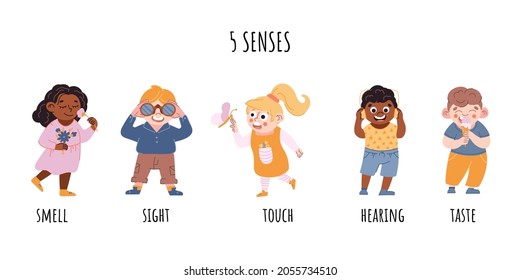 Children five senses consept. Sense of sight, touch, hearing, smell, taste vector illustration. 