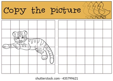 Children games: Copy the picture. Little cute baby tiger lays and smiles.