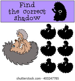 Children games: Find the correct shadow. Mother hedgehog plays with her little cute baby hedgehog.