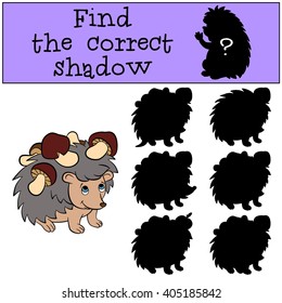 Children games: Find the correct shadow. Little cute hedgehog has a lot of mushrooms in his needles.