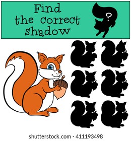 Children games: Find the correct shadow. Cute little squirrel holds an acorn in the hands.