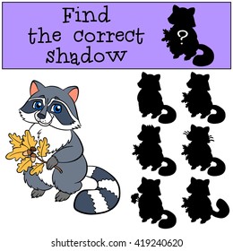 Children games: Find the correct shadow. Cute little raccoon holds an oak twig in the hands and smiles.