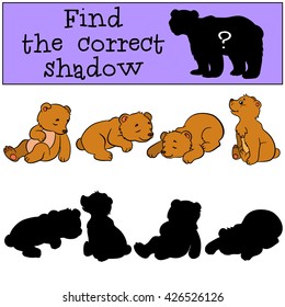 Children games: Find the correct shadow. Four little cute baby bears.