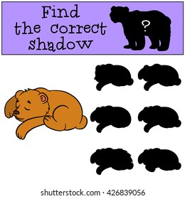 Children games: Find the correct shadow. Little cute baby bear sleeps.