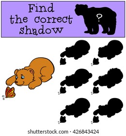 Children games: Find the correct shadow. Little cute baby bear looks at the butterfly.