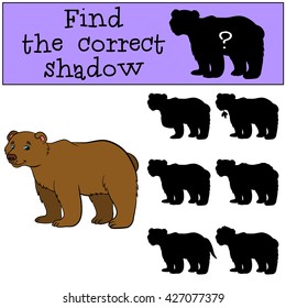 Children games: Find the correct shadow. Cute brown bear smiles.