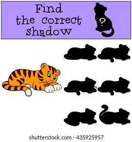 Children games: Find the correct shadow. Cute little baby tiger cleans himself and smiles.
