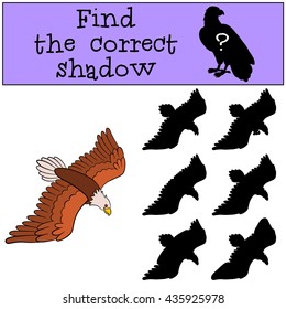 Children games: Find the correct shadow. Cute bald eagle flies and smiles.