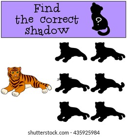 Children games: Find the correct shadow. Cute tiger lays and smiles.