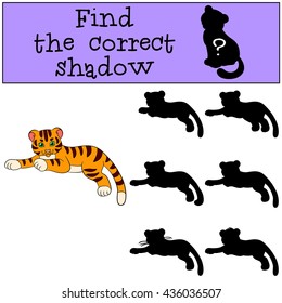 Children games: Find the correct shadow. Cute little baby tiger lays and smiles.