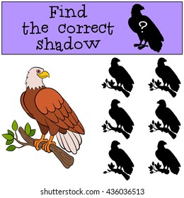 Children games: Find the correct shadow. Cute bald eagle sits on the tree branch and smiles.