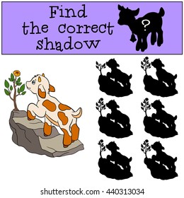 Children games: Find the correct shadow. Cute little baby goat stands on the rock and looks at the flower.