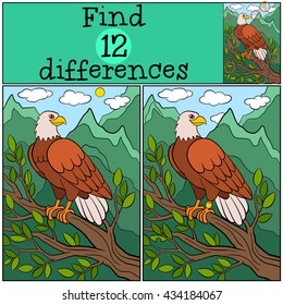 Children games: Find differences. Cute bald eagle sits on the tree branch and smiles.