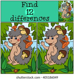 Children games: Find differences. Little cute hedgehog has a lot of mushrooms in his needles.