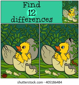 Children games: Find differences.  Little cute duckling hatched from the egg. It`s smiling and happy.