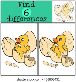 Children games: Find differences. Little cute duckling in the egg.