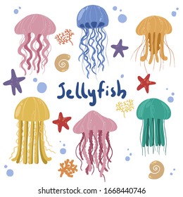 Children illustration of jellyfish, starfish, corals and shells