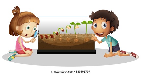 Niños que observan el cultivo de plantas