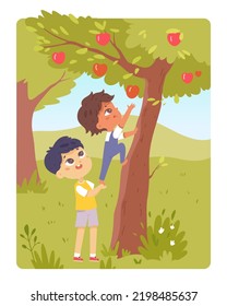 Children picking apples in garden vector illustration. Cartoon boy climbing tree to pick fruit, little siblings or friends harvest and collect apples in autumn village orchard, kids play together