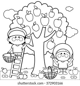 Children picking apples under an apple tree. Vector black and white coloring page.