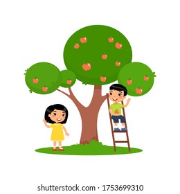 Children picks apples. Cute Asian boy sits on the stairs, little  girl stands next to an apple tree. Harvest concept.