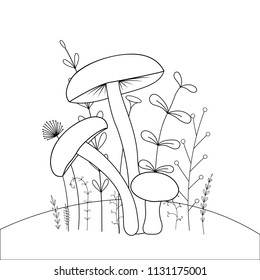 children s coloring book with cartoon animals. Educational tasks for preschool children cute mushrooms