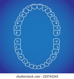 children teeth shows eruption