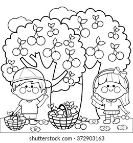 Children under cherry trees picking cherries. Vector black and white coloring page.