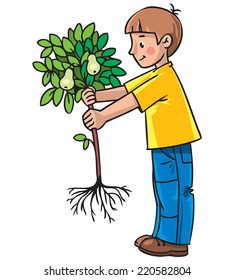 Children vector illustration of boy the gardener with a small pear tree.