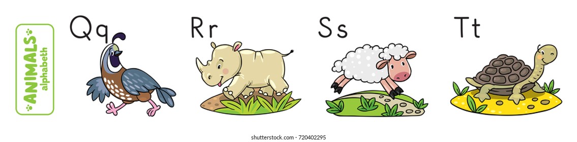 Children vector illustration of funny quail, rhino, sheep and tiger. Animals zoo alphabet or ABC.