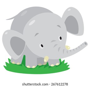 Children vector illustration of little funny elephant