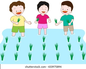 Children which plants rice.