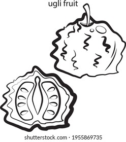 children's alphabet coloring book with fruits and vegetables
