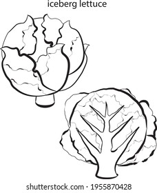 children's alphabet coloring book with fruits and vegetables