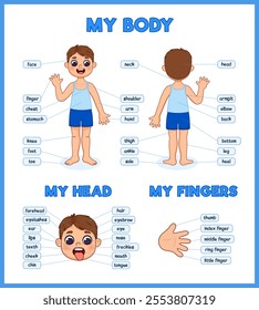 Children's anatomy poster with body parts label. Cute boy and his body parts to study . Vector illustration in cartoon style. For kindergarten, school or home.